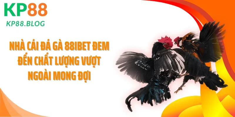 Nhà cái đá gà 88IBET đem đến chất lượng vượt ngoài mong đợi