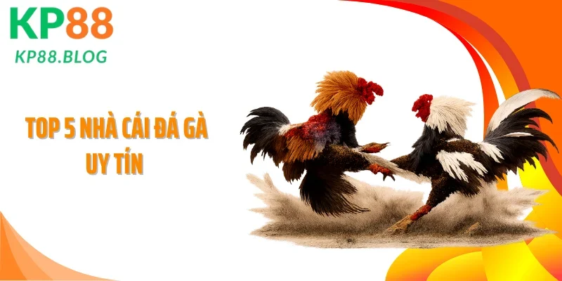Top 5 Nhà Cái Đá Gà Uy Tín Đang Chiếm Trọn Niềm Tin Kê Thủ